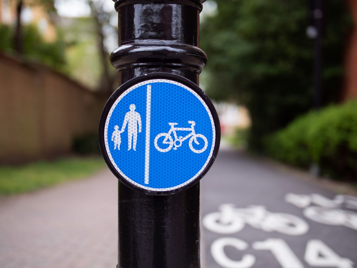 Advancing Road Safety Knowledge for Future Generations